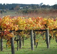 Apsley Gorge Vineyard - Accommodation NT