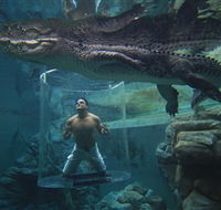 Crocosaurus Cove - Accommodation NT