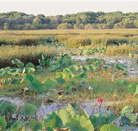 Fogg Dam Conservation Reserve - Accommodation NT