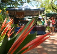 Nightcliff Markets - Accommodation NT