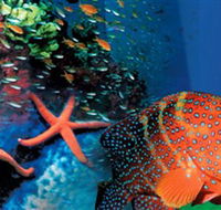 Indo Pacific Marine - Accommodation NT