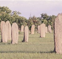 Magnetic Termite Mounds - Accommodation NT