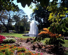 Book Darwin NT Attractions Accommodation NT Accommodation NT