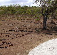 Wurrwurrwuy Garanhan Macassan Beach Interpretive Walk - Accommodation NT