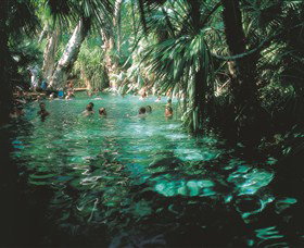 Mataranka Thermal Pool - Accommodation NT 0