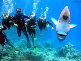 The Aarhus Dive Site - Accommodation NT 0