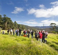 Apple Tree Park - Accommodation NT