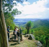 Gold Coast Hinterland Great Walk - Accommodation NT