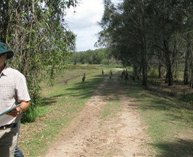 Coombabah QLD Accommodation NT