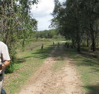Coombabah Lakes Conservation Area - NT Tourism