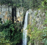 Gondwana Rainforests of Australia - Accommodation NT