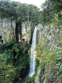 Gondwana Rainforests Of Australia - Accommodation NT 0