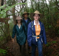Mount Cougal Springbrook National Park - Accommodation NT