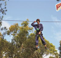 Adventure Parc at Currumbin Wildlife Sanctuary - Accommodation NT