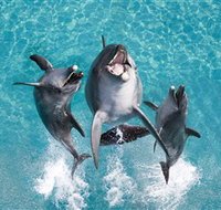 Sea World - Accommodation NT