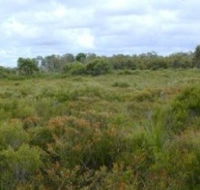 Pine Ridge Conservation Park - NT Tourism
