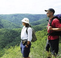 Sunshine Coast Hinterland Great Walk - Accommodation NT