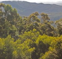 Conondale National Park - Accommodation NT