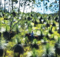 Bicentennial National Trail - Section 5 - Accommodation NT