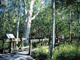 Noosa Heads QLD Accommodation NT