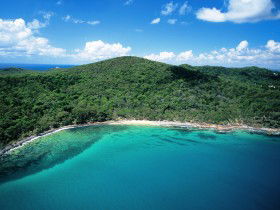 Noosa Heads Coastal Track - Accommodation NT 0
