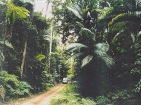 Conondale Great Walk - Accommodation NT 0