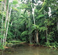 Mount Allan Trail - Accommodation NT