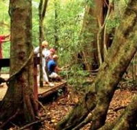 Mary Cairncross Scenic Reserve - Accommodation NT