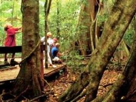 Mary Cairncross Scenic Reserve - Accommodation NT 0