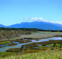 Eubenangee Swamp National Park - Accommodation NT