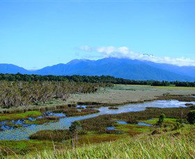 Eubenangee Swamp National Park - Accommodation NT 0