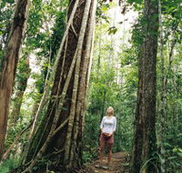 Wet Tropics - Accommodation NT