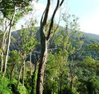 Smiths Track Barron Gorge National Park - Accommodation NT