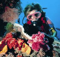 Osprey Reef - Accommodation NT