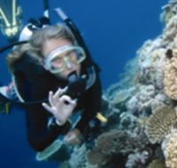 Moore Reef Dive Site - Accommodation NT