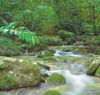 Mossman Gorge Daintree National Park - Accommodation NT