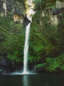 Nandroya Falls Circuit Track, Wooroonooran National Park - Accommodation NT 0