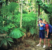 Mount Sorrow Ridge Trail Daintree National Park - Accommodation NT