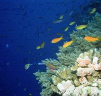 The Three Sisters Dive Site - Accommodation NT