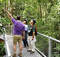 Daintree Discovery Centre - Accommodation NT
