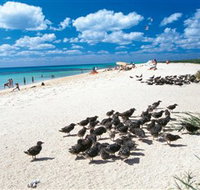 Michaelmas and Upolo Cays National Park - Accommodation NT