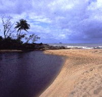 Russell River National Park - Accommodation NT