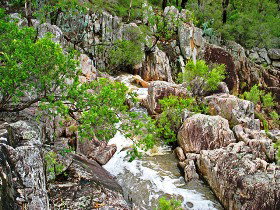 Crows Nest National Park - Accommodation NT 0