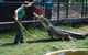 Snakes Downunder Reptile Park And Zoo - thumb 0