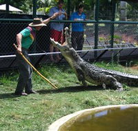 Snakes Downunder Reptile Park and Zoo - Accommodation NT