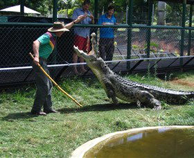 Snakes Downunder Reptile Park And Zoo - Accommodation NT 0