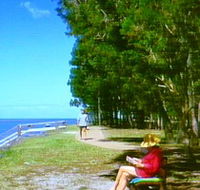 Melaleuca Track - Accommodation NT
