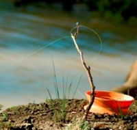 Charleville - Mangalore Warrego River Fishing Spot - Accommodation NT