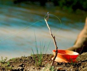 Charleville - Mangalore Warrego River Fishing Spot - Accommodation NT 0