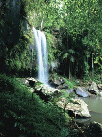 Tamborine QLD Accommodation NT